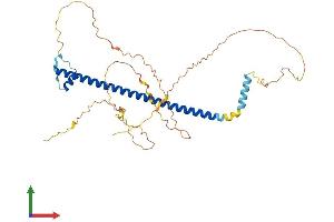 Protein Structure (PS) image for CAMP Responsive Element Binding Protein 3-Like 4 (CREB3L4) (AA 1-370) protein (His tag) (ABIN7560905)