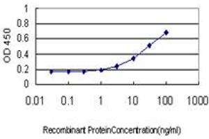 ELISA image for anti-Core 1 Synthase, Glycoprotein-N-Acetylgalactosamine 3-beta-Galactosyltransferase, 1 (C1GALT1) (AA 264-363) antibody (ABIN566052)
