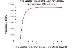 ELISA image for Glypican 3 (GPC3) (AA 25-559) protein (Fc Tag,FITC) (ABIN6253194)