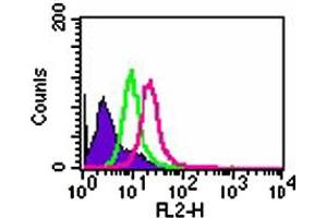 Intracellular flow analysis of TLR8 in 1x10^6 Ramos cells. (TLR8 抗体  (AA 750-850))