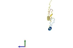 Protein Structure (PS) image for Chromosome 19 Open Reading Frame 53 (C19ORF53) (AA 1-99) protein (His tag) (ABIN7548846)