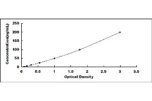 Typical standard curve (COL10 ELISA 试剂盒)