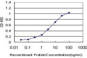 Detection limit for recombinant GST tagged HMGB2 is approximately 0. (HMGB2 抗体  (AA 1-195))