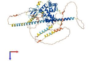 Dystrotelin (DYTN) (AA 1-653) protein (His tag)