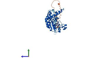 AlphaFold protein structure predicition of Human Recombinant HS3ST5 Protein, UniprotID Q8IZT8