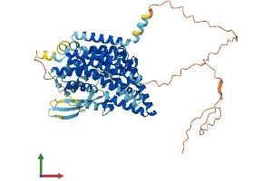 AlphaFold protein structure predicition of Mouse Recombinant Slc1a5 Protein, UniprotID P51912 (SLC1A5 Protein (AA 1-553) (His tag))
