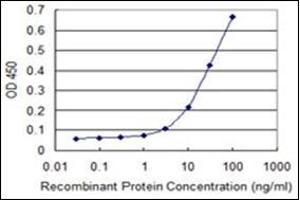 ELISA image for anti-Phosphorylase, Glycogen, Muscle (PYGM) antibody (ABIN952549) (PYGM 抗体)