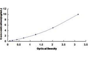 Typical standard curve (HS2ST1 ELISA 试剂盒)