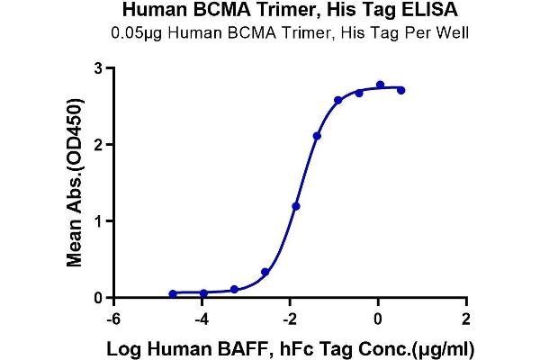 BCMA Protein (Trimer) (His-Avi Tag)