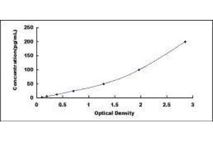Defensin, alpha 5, Paneth Cell-Specific (DEFA5) ELISA Kit