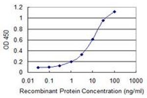 Detection limit for recombinant GST tagged CNKSR3 is 0. (CNKSR3 抗体  (AA 366-464))