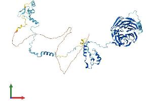 Protein Structure (PS) image for Block of Proliferation 1 (BOP1) (AA 1-732) protein (His tag) (ABIN7556809)