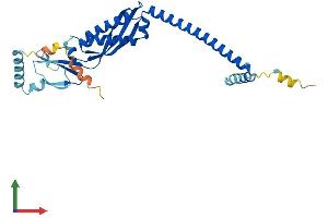 Protein Structure (PS) image for Stomatin (STOM) (AA 1-284) protein (His tag) (ABIN7556163)