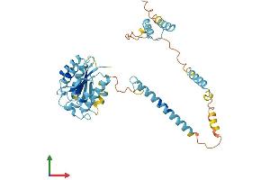Protein Structure (PS) image for Proteasome (Prosome, Macropain) 26S Subunit, Non-ATPase, 4 (Psmd4) (AA 1-377) protein (His tag) (ABIN7551104)