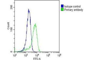 Overlay histogram showing PC-3 cells stained with (ABIN6242582 and ABIN6577145)(green line). (RAB18 抗体  (AA 1-206))