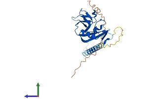 Protein Structure (PS) image for Killer Cell Lectin-Like Receptor Subfamily K, Member 1 (KLRK1) (AA 1-232) protein (His tag) (ABIN7562401)