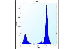 Flow Cytometry (FACS) image for anti-MOB1, Mps One Binder Kinase Activator-Like 1B (MOBKL1B) (AA 5-33), (N-Term) antibody (ABIN656811)