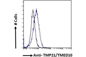 ABIN190858 Flow cytometric analysis of paraformaldehyde fixed HeLa cells (blue line), permeabilized with 0. (TMED10 抗体  (C-Term))