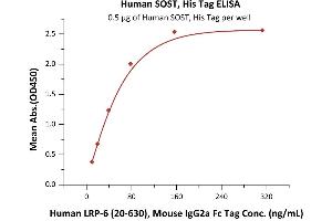 Immobilized Human SOST, His Tag (ABIN2181782,ABIN2181781) at 5 μg/mL (100 μL/well) can bind Human LRP-6 (20-630), Mouse IgG2a Fc Tag (ABIN6923175,ABIN6938849) with a linear range of 10-78 ng/mL (QC tested). (Sclerostin Protein (SOST) (AA 24-213) (His tag))