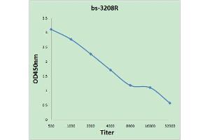 Antigen: 0. (JAK3 抗体  (pTyr980, pTyr981))