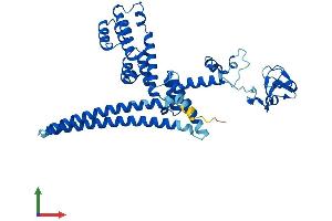 Protein Structure (PS) image for Macrophage erythroblast Attacher (MAEA) (AA 1-396) protein (His tag) (ABIN7557401)