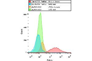Flow Cytometry (FACS) image for anti-Tumor Necrosis Factor Receptor Superfamily, Member 4 (TNFRSF4) antibody (ABIN2749179)