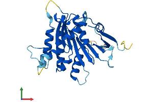 Protein Structure (PS) image for Elongator Acetyltransferase Complex Subunit 6 (ELP6) (AA 1-266) protein (His tag) (ABIN7547380)