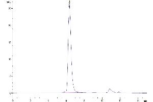The purity of Human CD45/PTPRC is greater than 95 % as determined by SEC-HPLC.