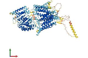 AlphaFold protein structure predicition of Human Recombinant PIGO Protein, UniprotID Q8TEQ8