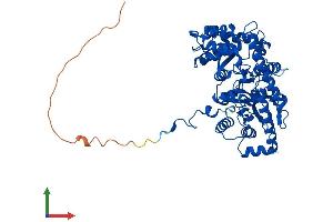Protein Structure (PS) image for Glutamic Pyruvate Transaminase (Alanine Aminotransferase) 2 (GPT2) (AA 1-523) protein (His tag) (ABIN7552111)