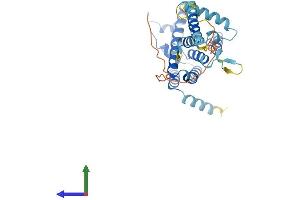 Protein Structure (PS) image for Transmembrane Protein 115 (TMEM115) (AA 1-350) protein (His tag) (ABIN7556275)