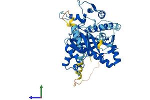 Protein Structure (PS) image for Tubulin tyrosine Ligase-Like Family, Member 1 (TTLL1) (AA 1-423) protein (His tag) (ABIN7559975)