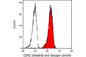 Flow Cytometry (FACS) image for anti-Enhancer of Zeste Homolog 2 (EZH2) (AA 1-154) antibody (ABIN7795766)
