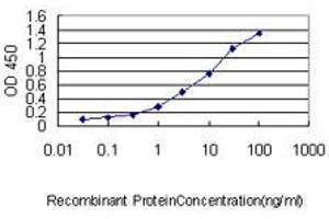 Detection limit for recombinant GST tagged DNAJC7 is approximately 0. (DNAJC7 抗体  (AA 1-484))