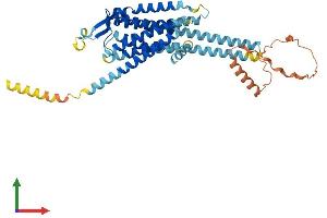 AlphaFold protein structure predicition of Human Recombinant NPY5R Protein, UniprotID Q15761