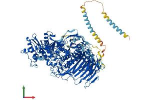 Protein Structure (PS) image for Mannosidase, Alpha, Class 2A, Member 2 (MAN2A2) (AA 1-1150) protein (His tag) (ABIN7554500)