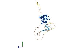 AlphaFold protein structure predicition of Mouse Recombinant Ldb2 Protein, UniprotID O55203