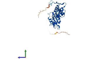 Protein Structure (PS) image for Mitochondrial Ribosomal Protein L4 (MRPL4) (AA 1-311) protein (His tag) (ABIN7551455)