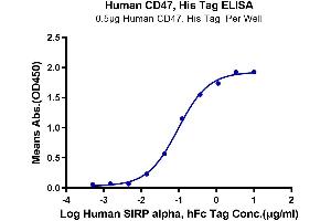 Immobilized Human CD47, His Tag at 5 μg/mL (100 μL/Well). (CD47 Protein (CD47) (AA 19-139) (His tag))