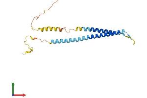 AlphaFold protein structure predicition of Human Recombinant NRSN1 Protein, UniprotID Q8IZ57