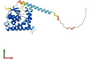 AlphaFold protein structure predicition of Human Recombinant MTX3 Protein, UniprotID Q5HYI7 (MTX3 Protein (AA 1-312) (His tag))