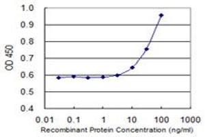 Detection limit for recombinant GST tagged CEACAM1 is 3 ng/ml as a capture antibody. (CEACAM1 抗体  (AA 1-468))