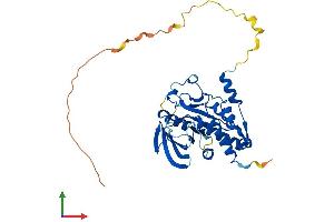 Protein Structure (PS) image for Protein tyrosine Phosphatase, Non-Receptor Type 7 (PTPN7) (AA 1-360) protein (His tag) (ABIN7551059)