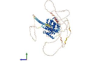 Protein Structure (PS) image for TBC1 Domain Family, Member 10B (TBC1D10B) (AA 1-798) protein (His tag) (ABIN7558647)