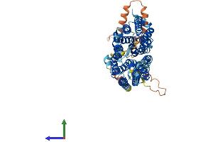 Protein Structure (PS) image for Solute Carrier Family 43, Member 1 (SLC43A1) (AA 1-564) protein (His tag) (ABIN7558857)