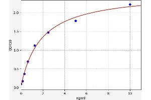 Caspase 3 ELISA 试剂盒