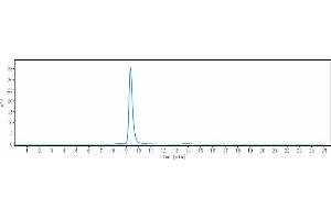The purity of Anti-IL-13Ra1 / CD213a1 Reference Antibody (MK-6105) is 100 % , determined by SEC-HPLC. (Recombinant IL13 Receptor alpha 1 抗体)
