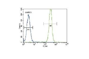 SD2 Antibody (ABIN391545 and ABIN2841494) flow cytometric analysis of Hela cells (right histogram) compared to a negative control cell (left histogram). (SMAD2 抗体  (AA 97-125))