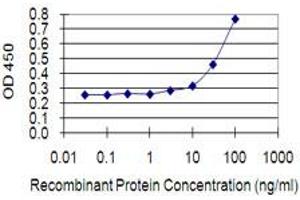 Detection limit for recombinant GST tagged EPHA1 is 1 ng/ml as a capture antibody. (EPHA1 抗体  (AA 394-500))