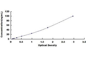 Typical standard curve (NOG ELISA 试剂盒)